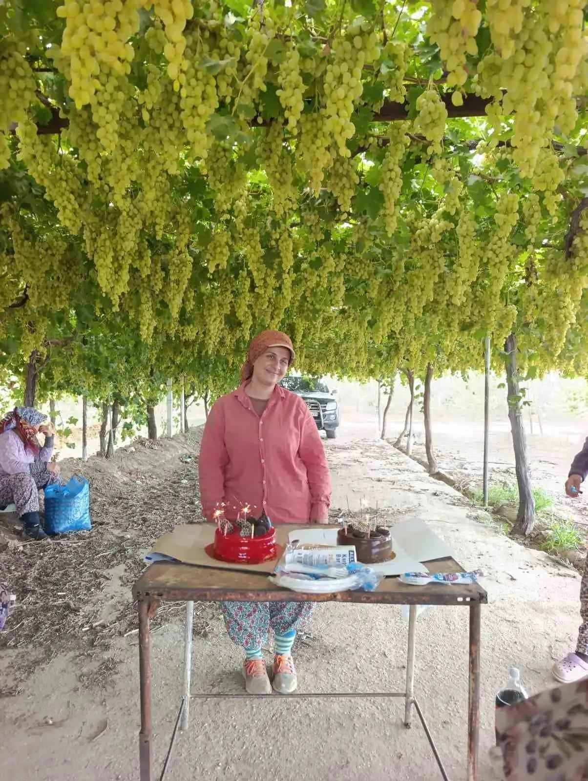 Bağda Mesai Sürerken Pasta Sürprizi: Öğretmen Çiftçiden İşçisine Unutulmaz Jest