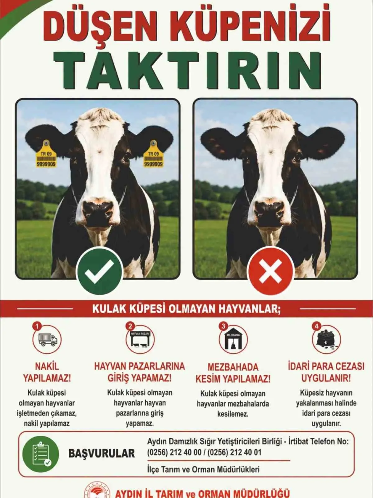 Aydınlı besicilere kritik uyarı: Kulak küpesi olmayan hayvanlar için yolun sonu
