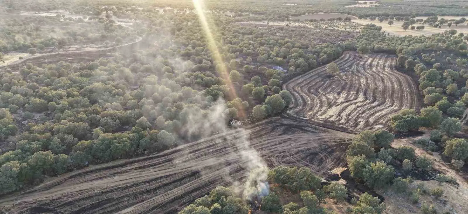 Çivril’de korkutan yangın: 100 dönümlük arazi küle döndü