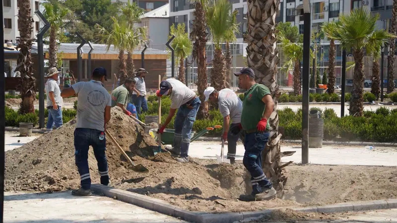 Yunusemre’de fidanlar geleceğe nefes oluyor: Muradiye’ye yeşil dokunuş