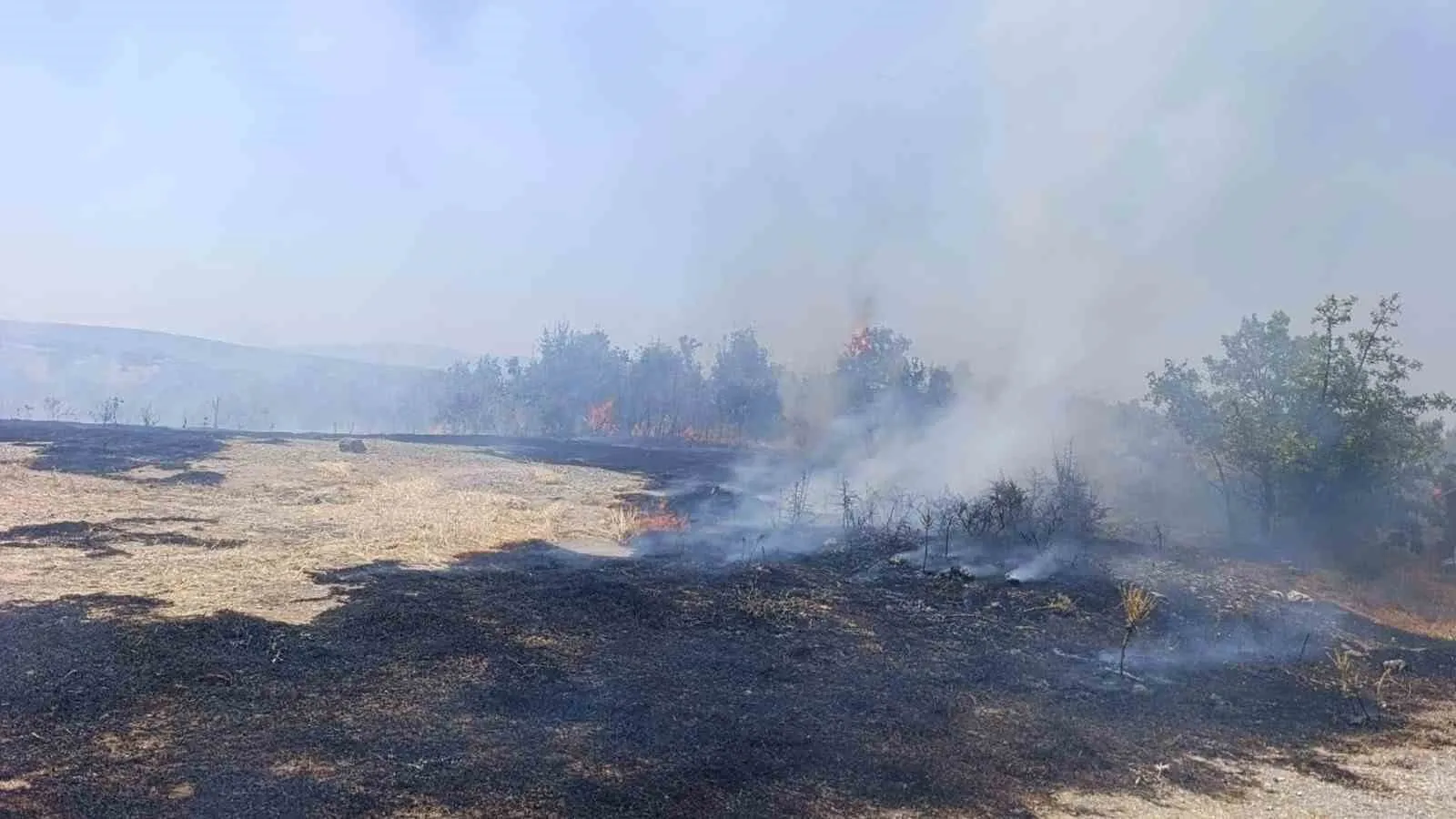Manisa'da korkutan orman yangını: Ekipler alevlere geçit vermedi