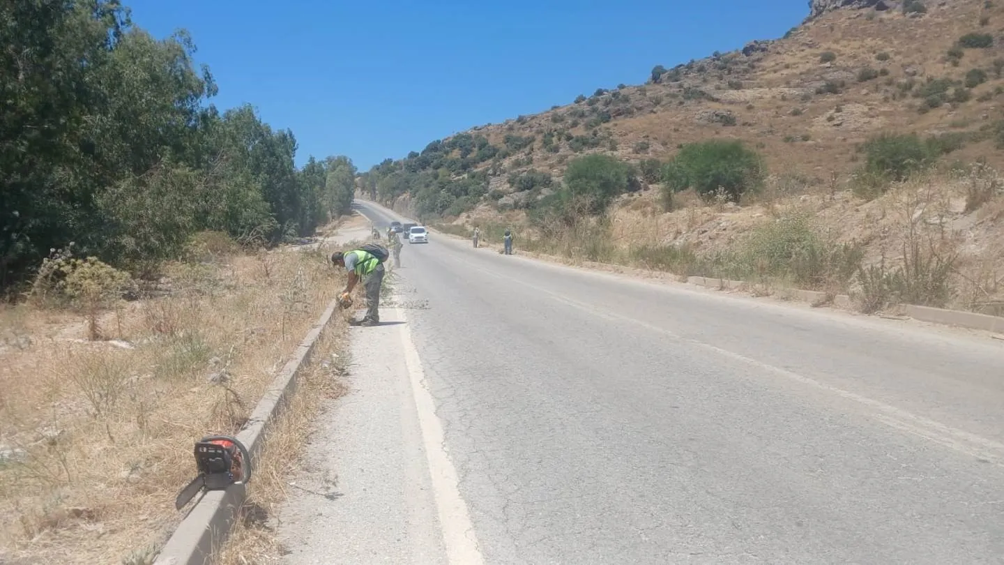 Bodrum'da yaz mesaisi: Yangın riskine karşı dev temizlik operasyonu