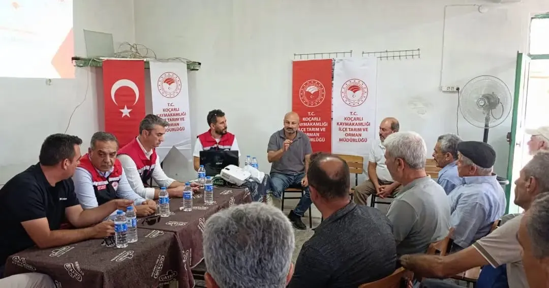 Aydınlı çiftçinin 85 haftalık yol arkadaşlığı: Tarlada çözüm masası kuruldu