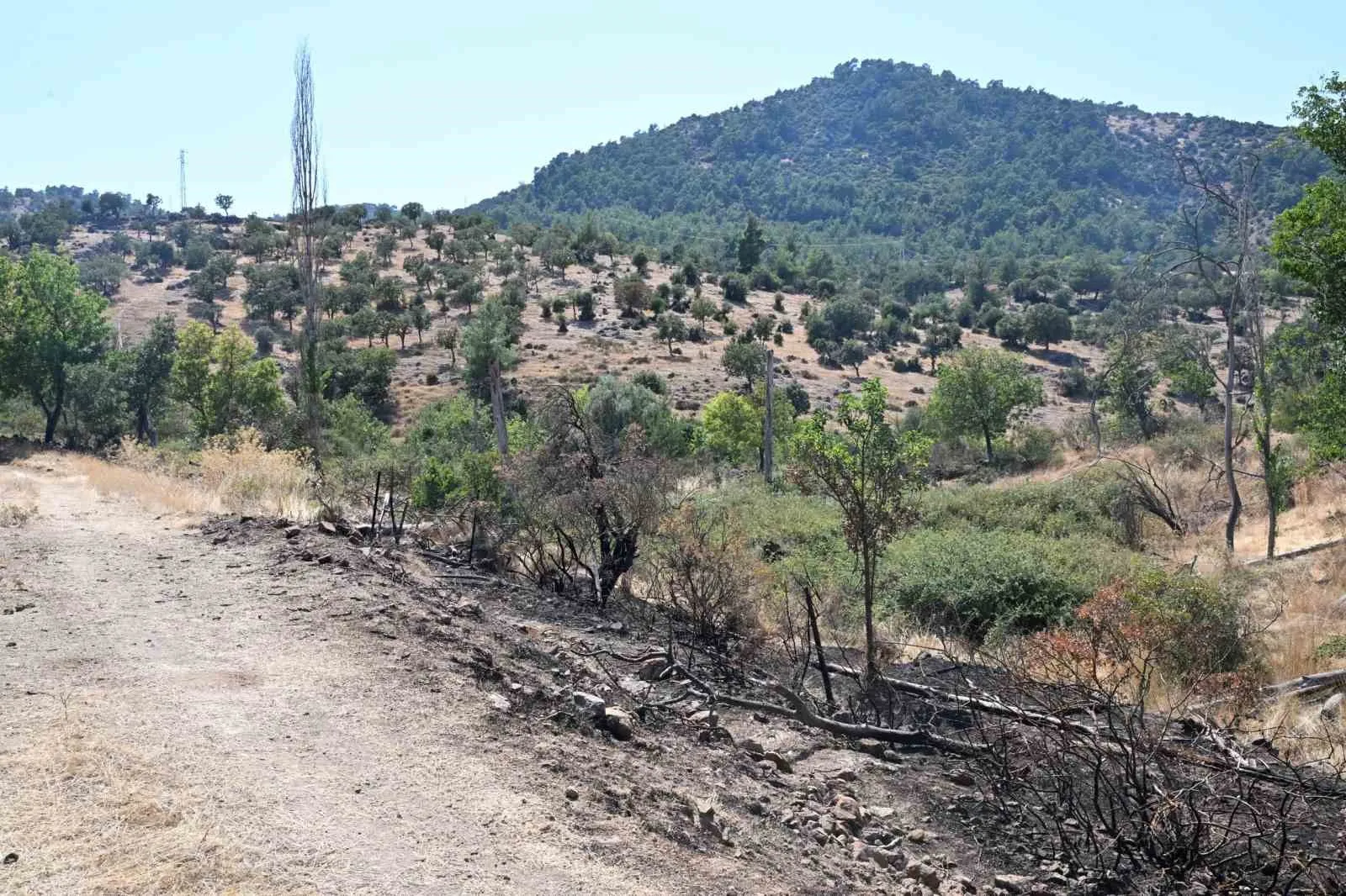 Yıldırımın Tetiklediği Yangın, Mahalleliyi Uyandırmadan Söndürüldü