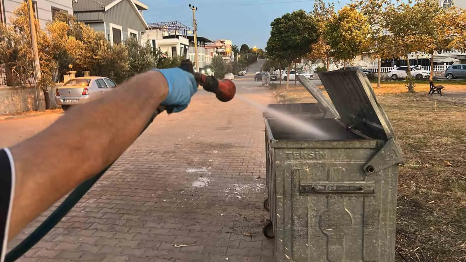 Didim'de yaz mesaisi: Haşerelere karşı kapsamlı önlem