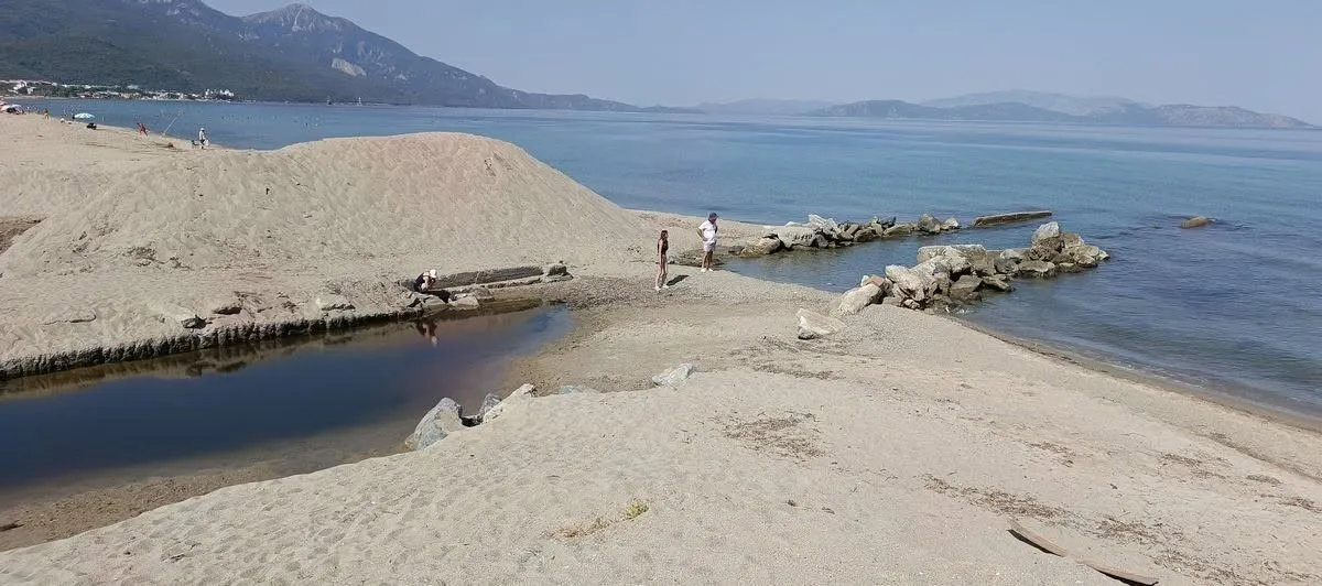 Kuşadası’nın gizli hazinesi can çekişiyor: Doğaseverlerden acil koruma çağrısı