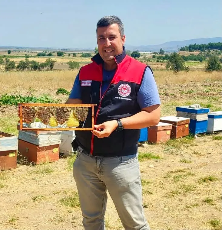 Arıların gizli sanat eseri: Baklan’daki kovandan kalp çıktı