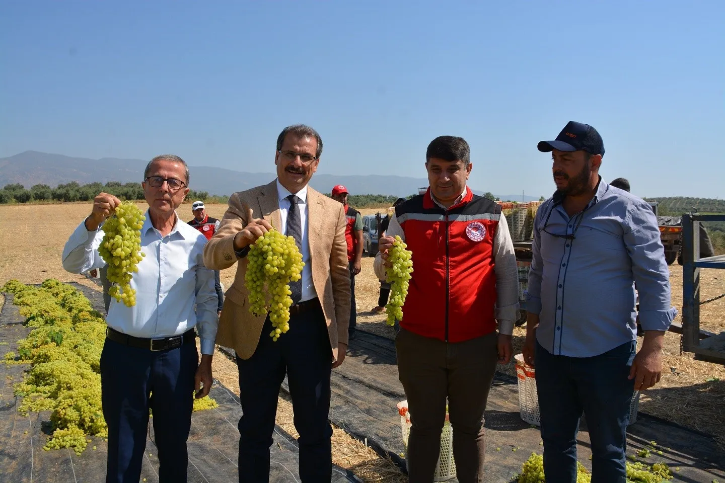 Salihli’de Hasat Coşkusu: Kaymakam Güldoğan’dan Üreticilere Destek Ziyareti