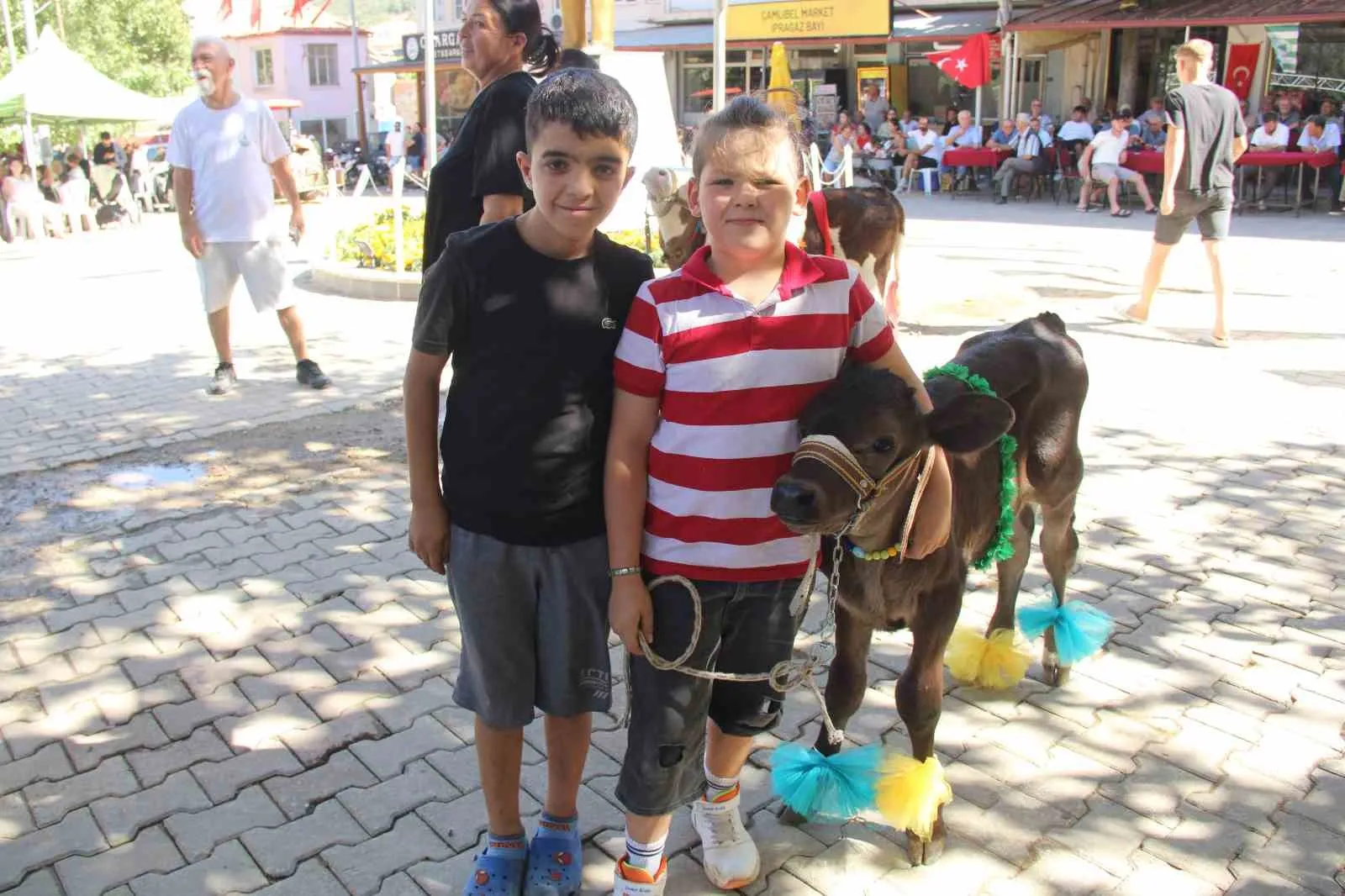 Yerkesik’te 38. Geleneksel Festivalde Minik Şampiyonlar Podyumda: Buzağı Güzellik Yarışması Büyük Beğeni Topladı