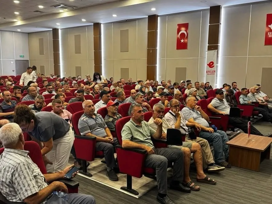 Aydınlı incir üreticisine kritik uyarı: Kaliteyi korumak için bu kurallara dikkat