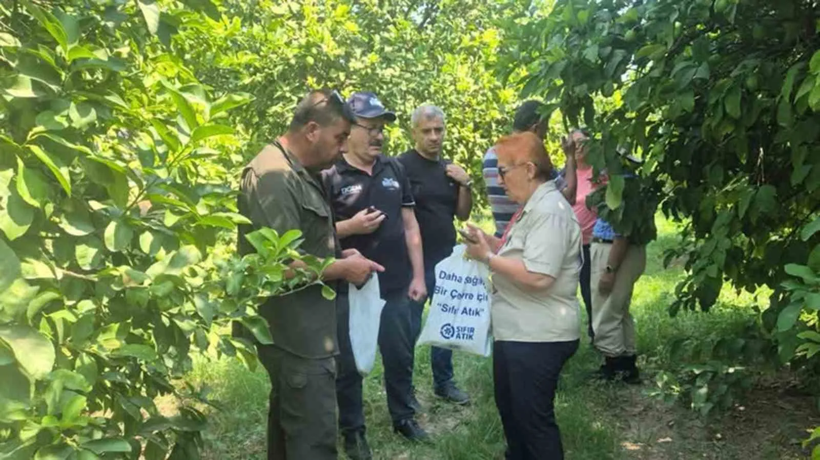 Muğla bahçelerinde kimyasala veda: Doğal denge koruma altına alındı