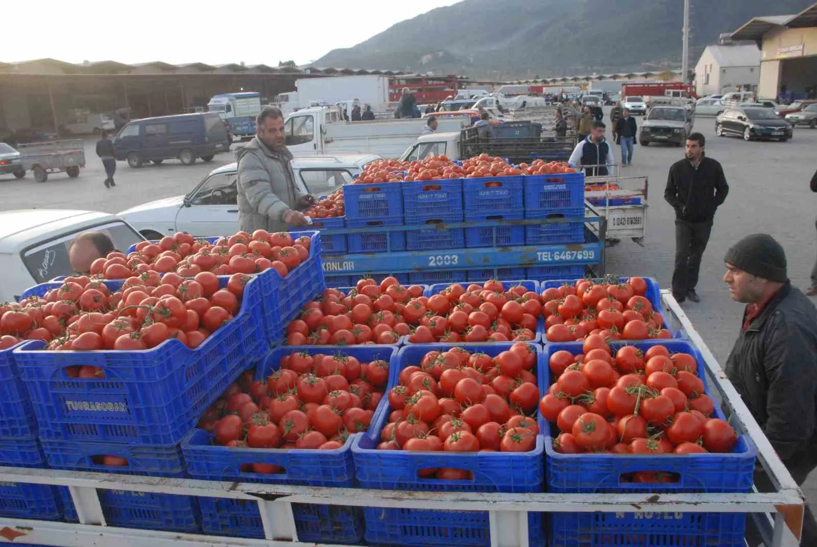Muğla ekonomisinde dış ticaret bereketi: İhracat ithalatı üçe katladı
