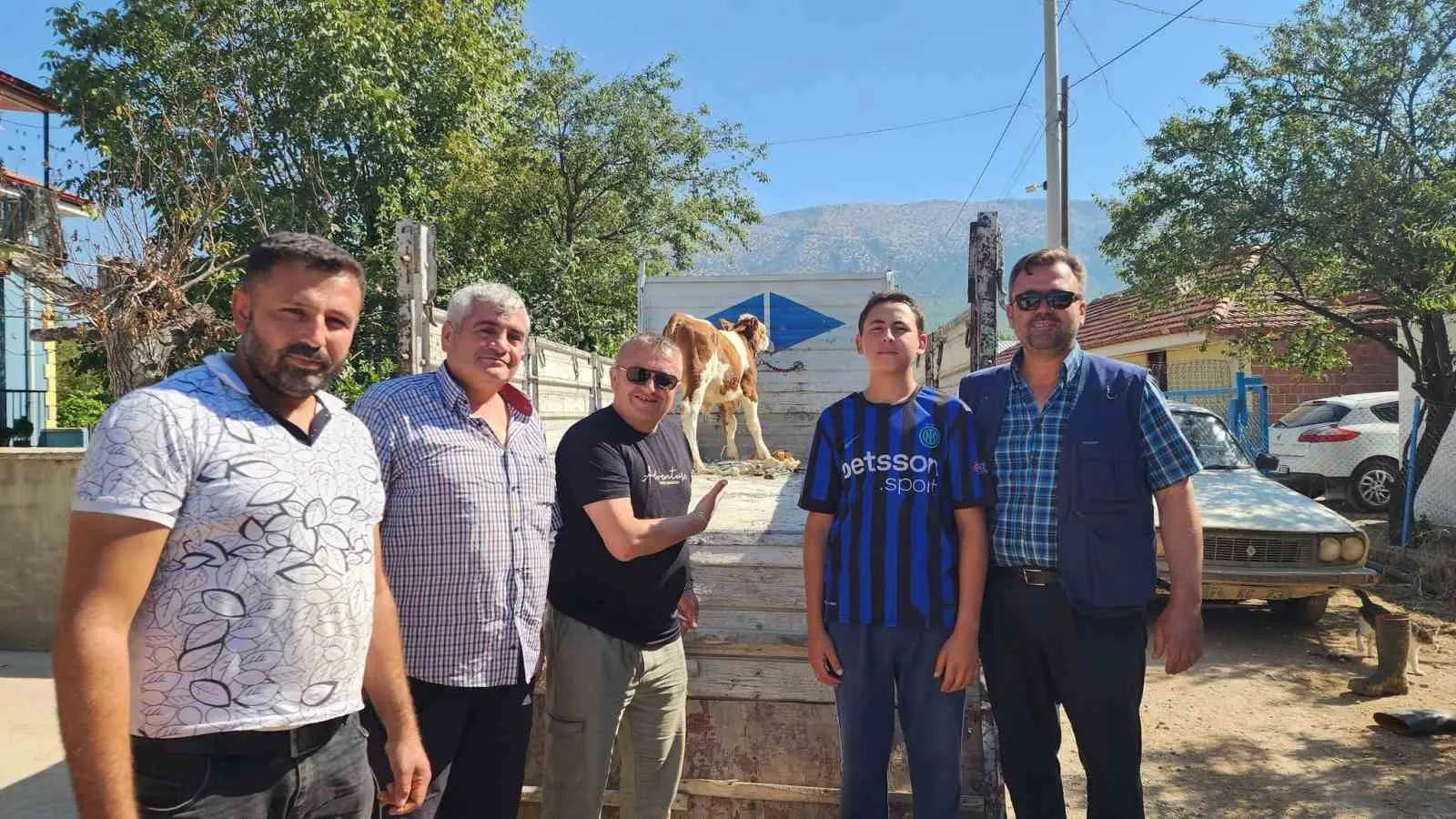 Çivril’de kayıp buzağı seferberliği: Mahalleli tek yürek oldu