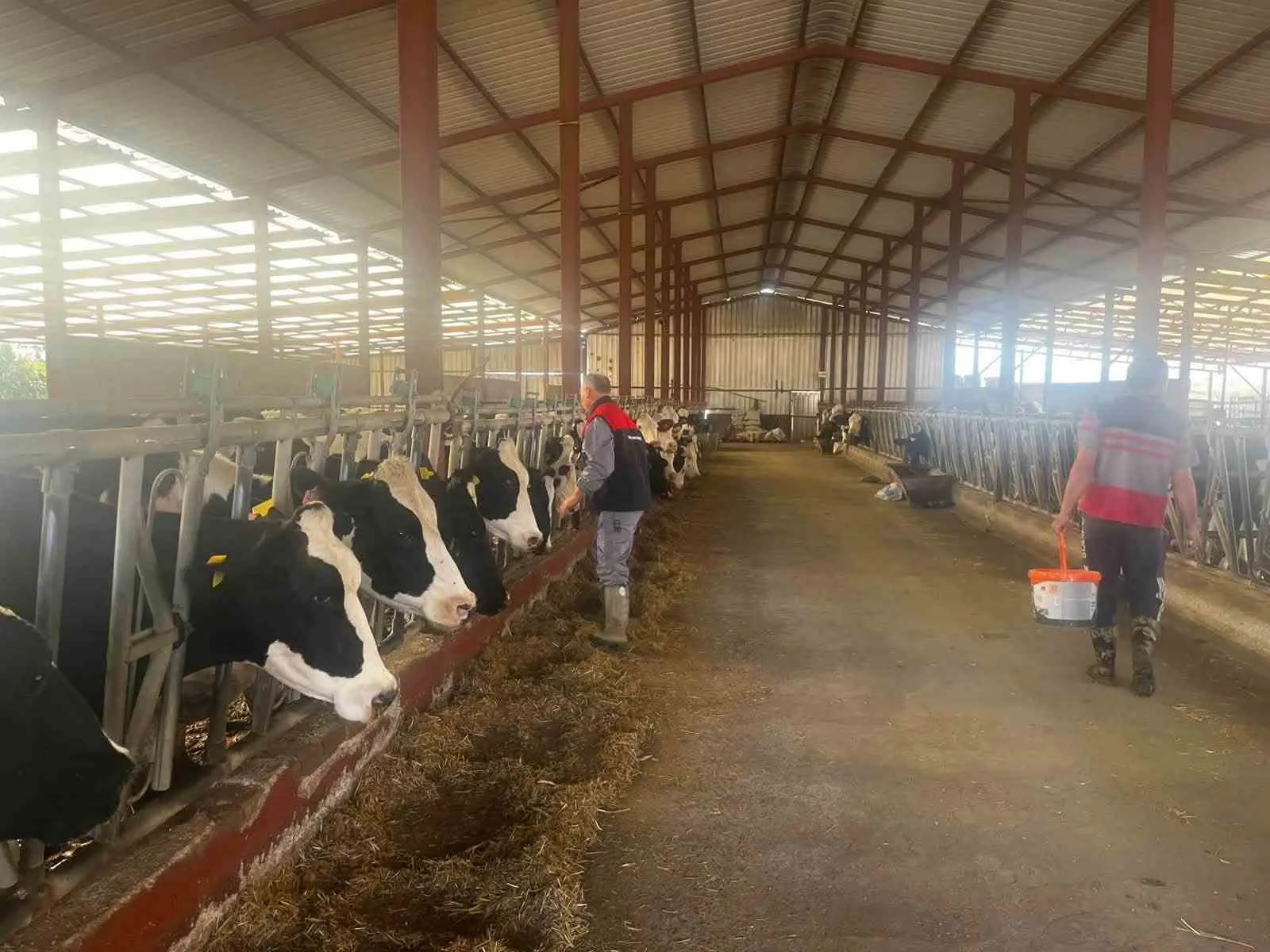 Baklan’da hayvancılıkta kritik dönem: Şap aşısı mesaisi başladı