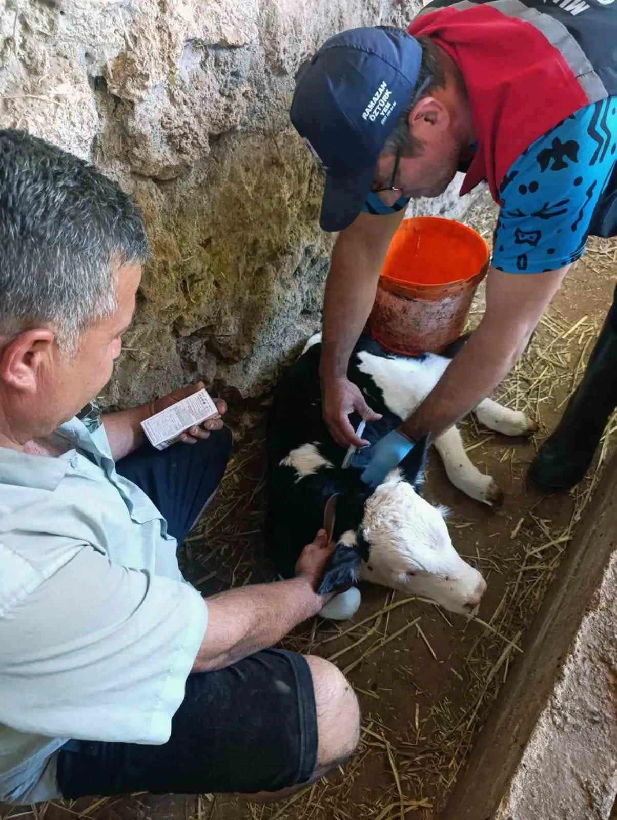 Muğla'da hayvancılıkta yeni dönem: İlk 24 saat için devreye alınan proje ile hedef yüzde 1'e inmek