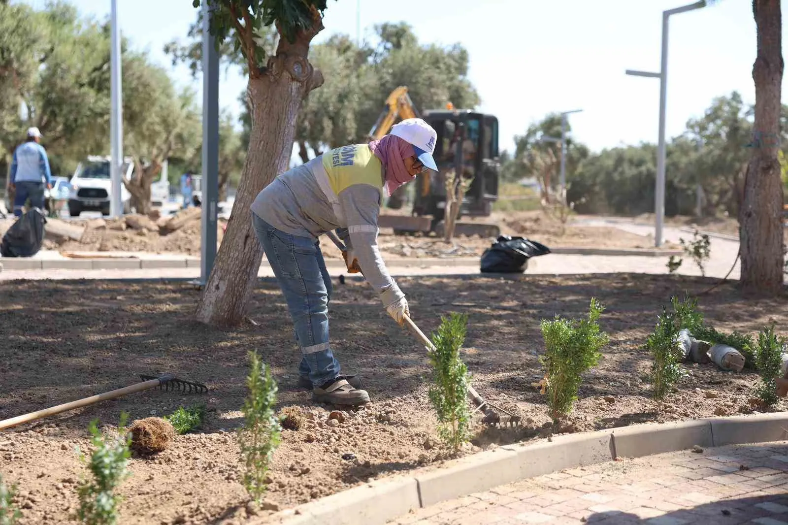 Didim'de yeşil dönüşüm: Zeytin Park ile doğa kentle buluşuyor