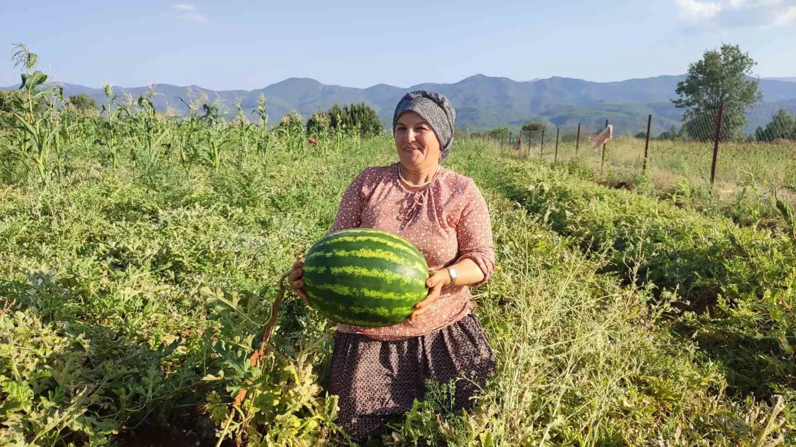 Beyağaç’ta toprakla gelen miras: 10 tonluk bereket