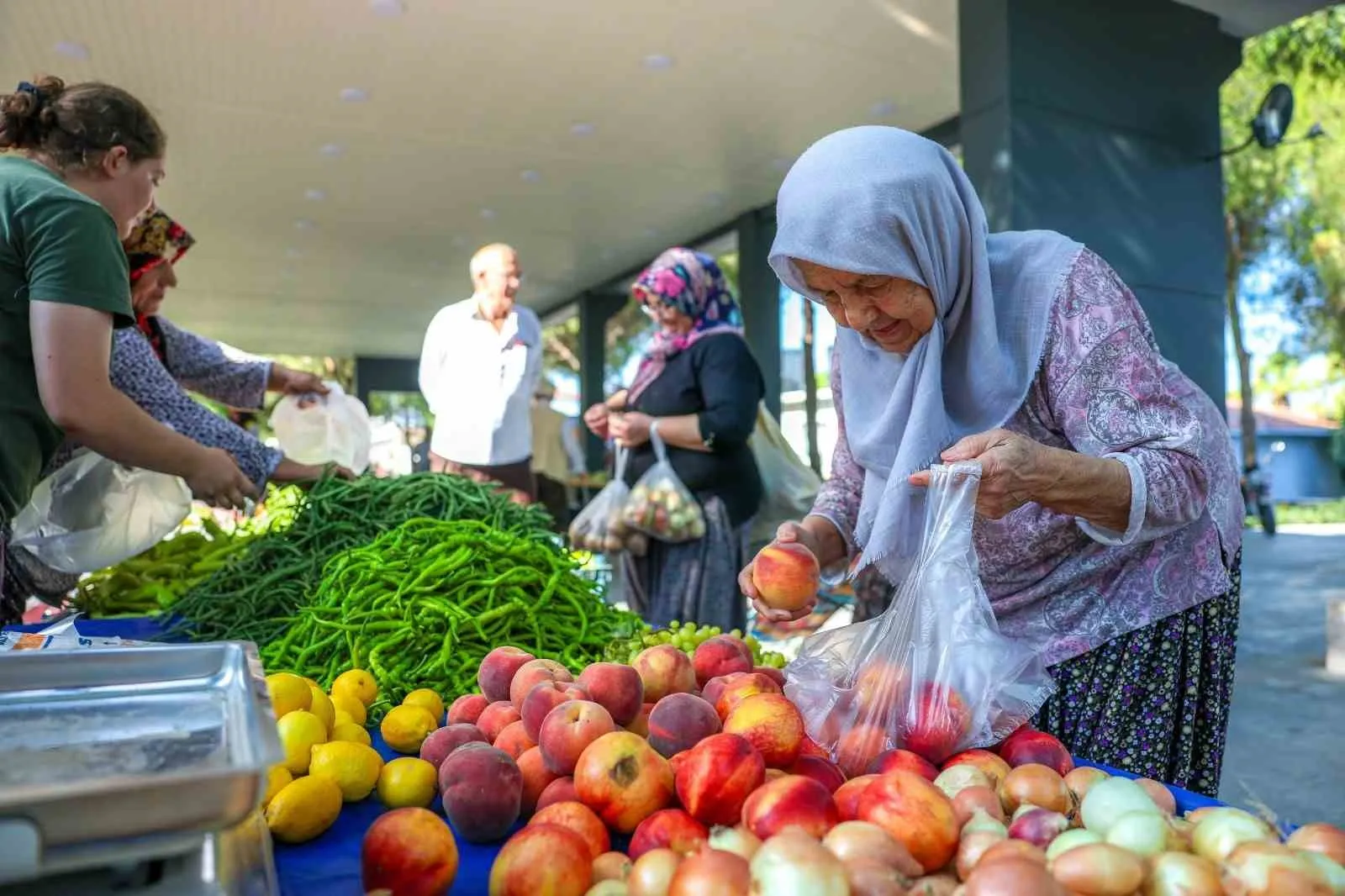 Hacıömerli'de toprağın bereketi tezgahlara taşındı: Doğal ürünlerin yeni adresi