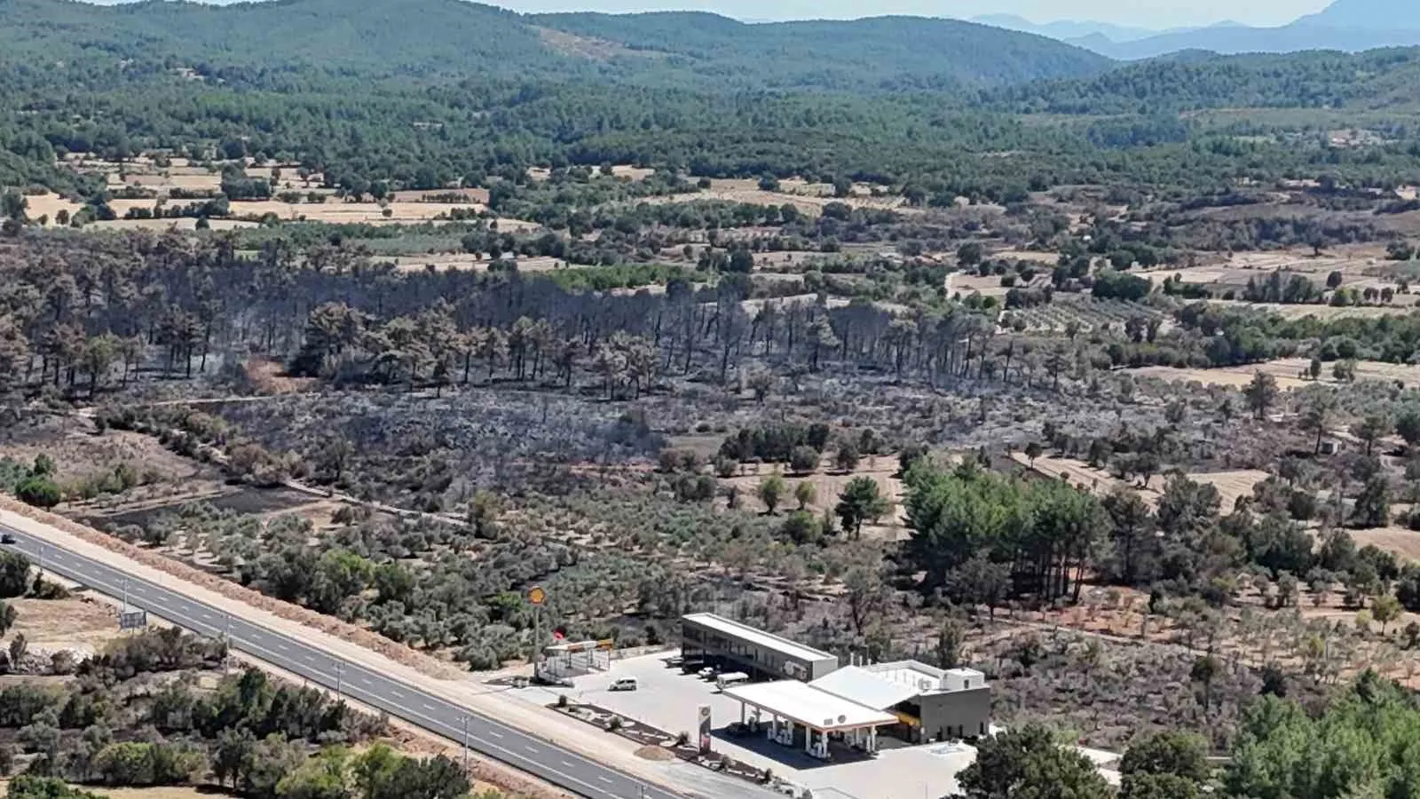 Muğla'da orman yangını felaketi: 150 hektarlık alan küle döndü