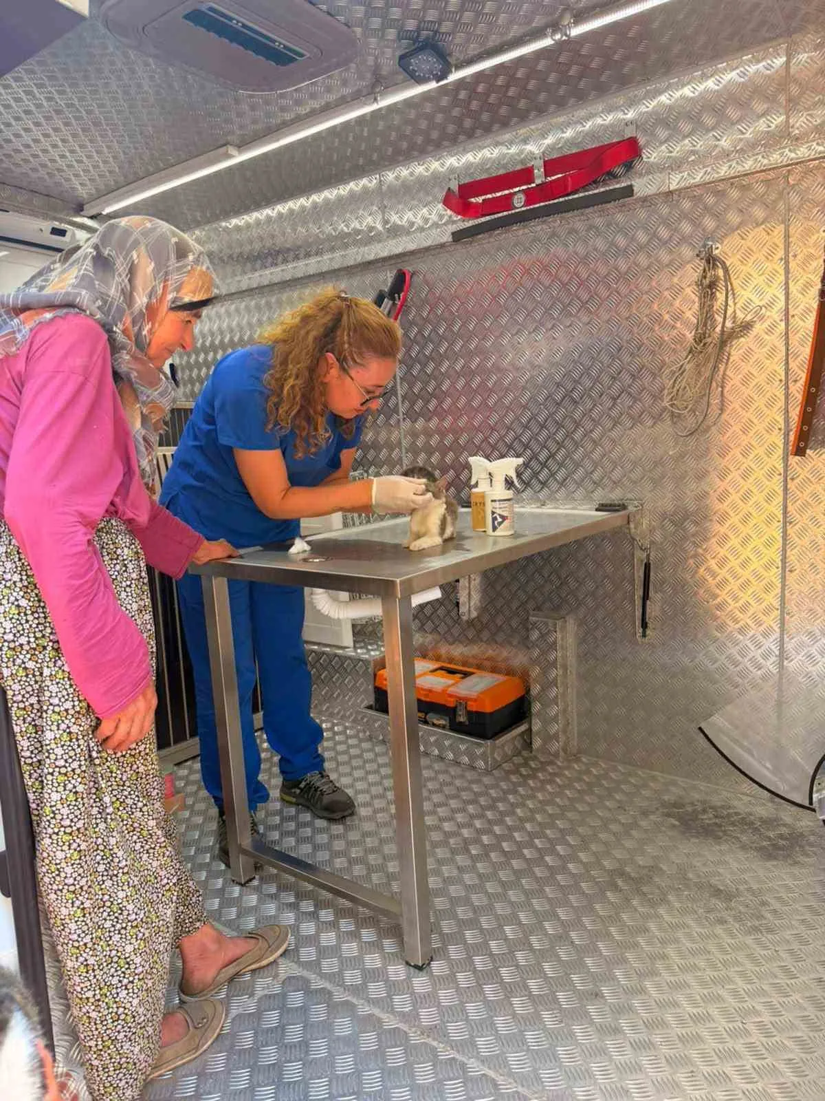 Alevlerin arasından kurtarıldılar: Muğla’da can dostlar için seferberlik