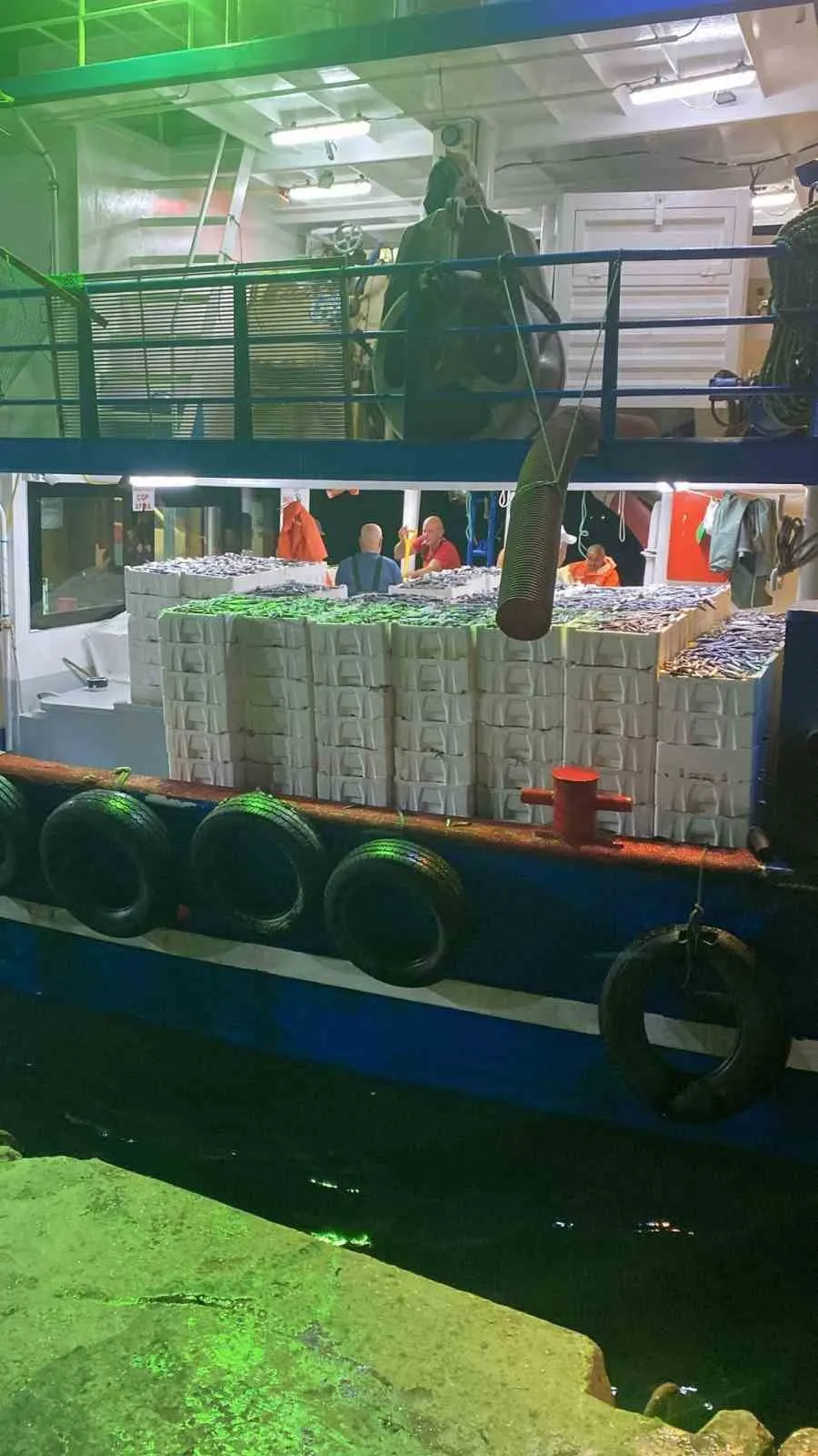 Didim denizlerinde hamsi mesaisi: Ekipler av limitleri için sahaya indi