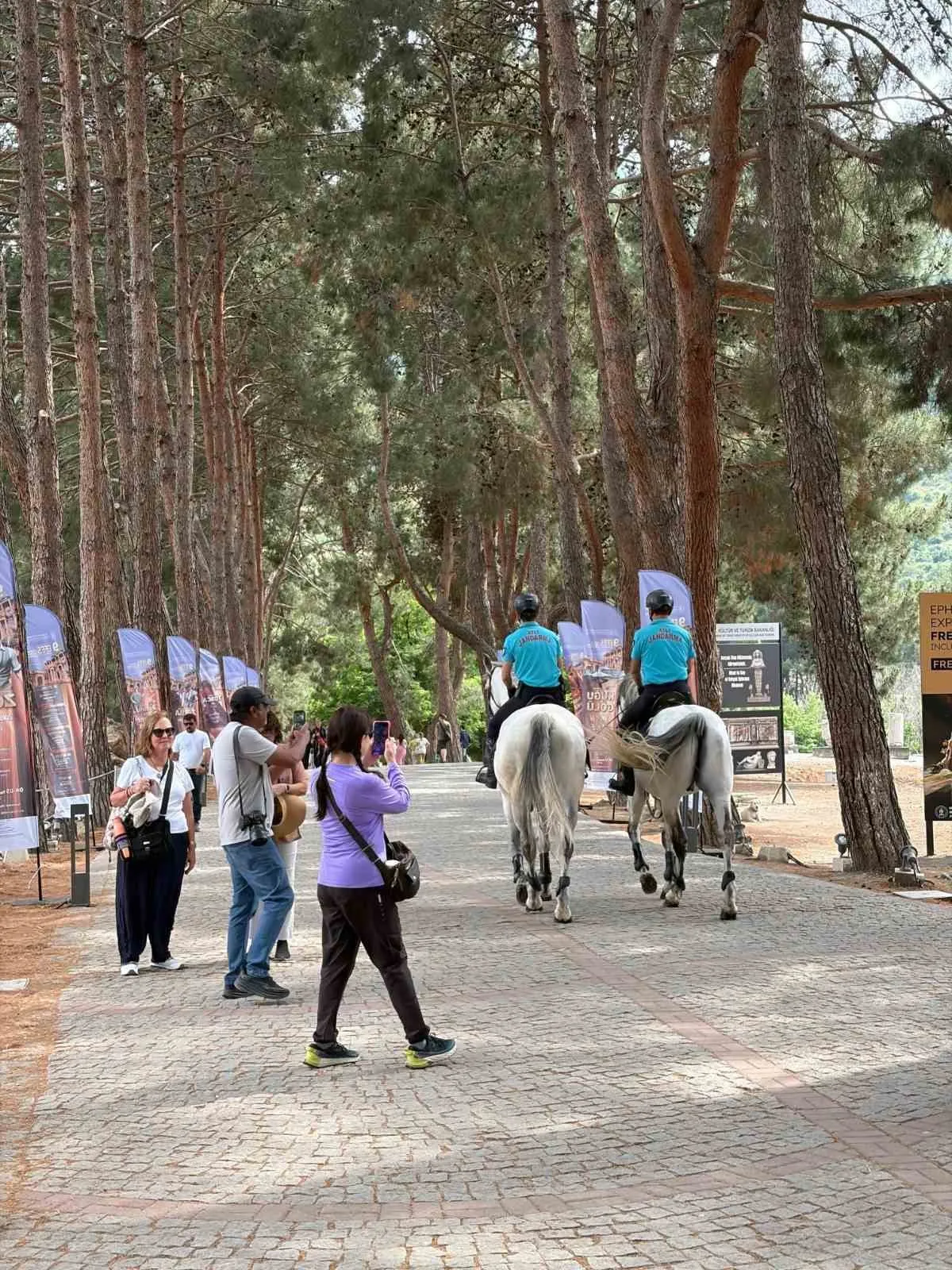 Ege sahillerinde asayişin yeni koruyucuları: Atlı jandarmalar göreve başladı