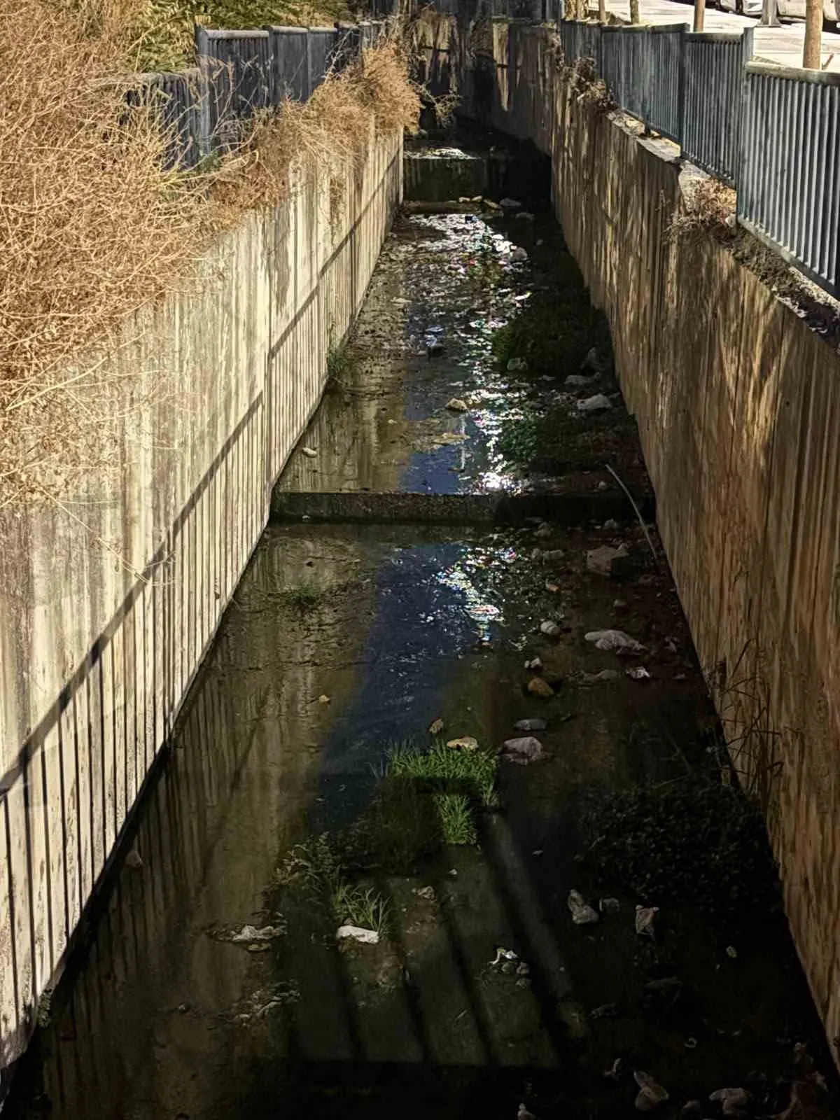 Urla'da dere isyanı: Emekli öğretmenden belediyeye çarpıcı teklif
