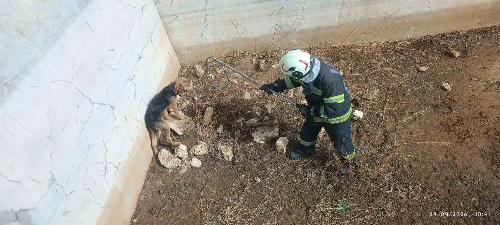 Ölüm çukurunda günlerce yaşam mücadelesi verdi: İtfaiye ekipleri son anda yetişti