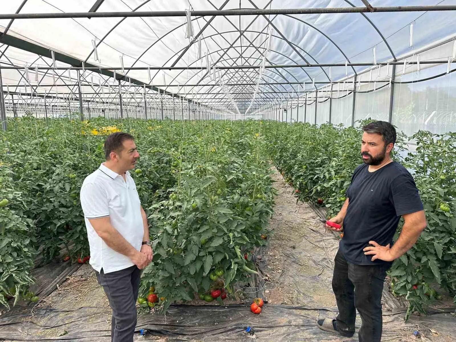Denizli ekonomisinde yeni dönem: Termal ve tarım odaklı kalkınma hamlesi