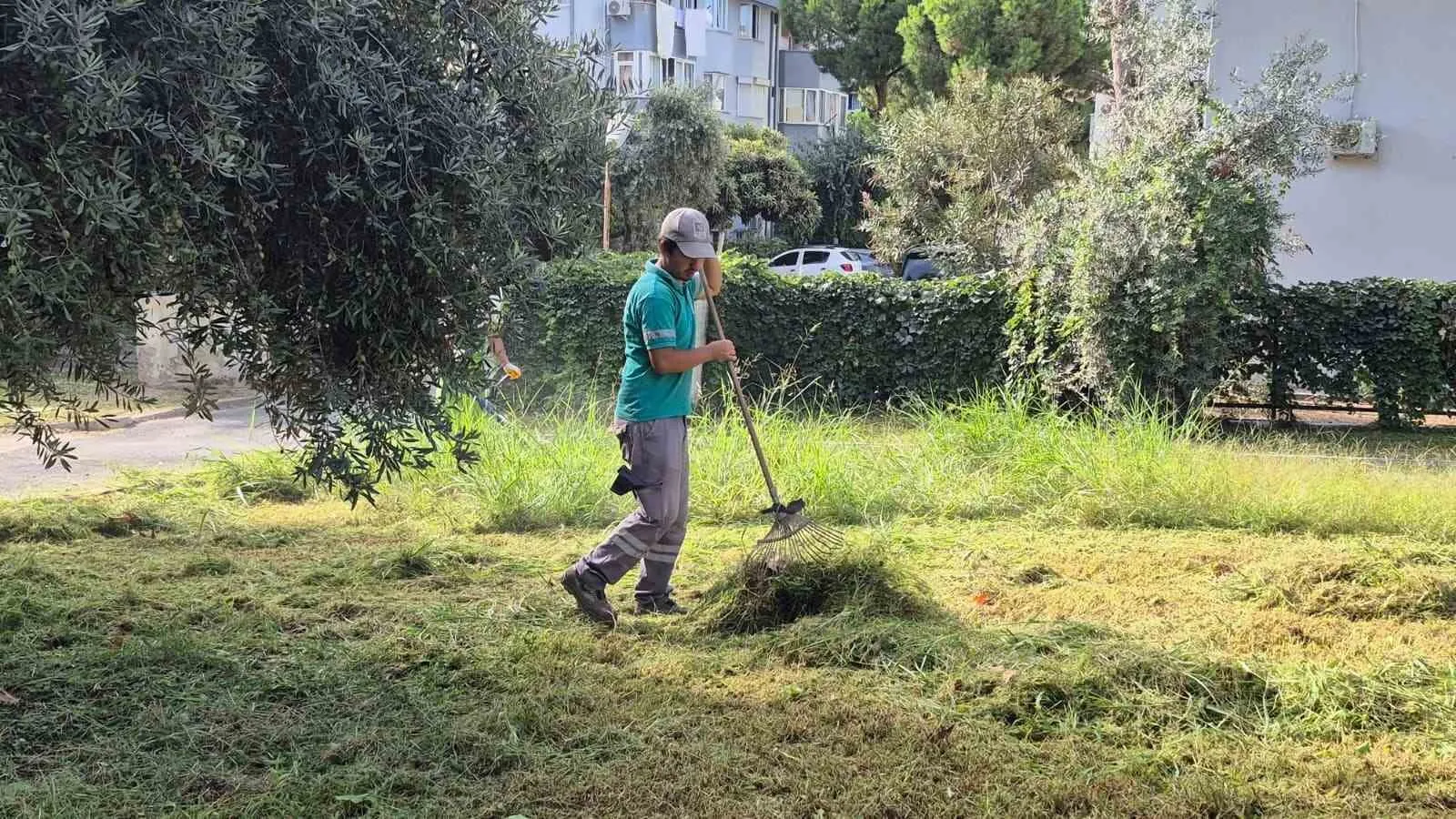 Kuşadası’nda yeşil seferberlik: Şehrin çehresi estetik dokunuşlarla yenileniyor