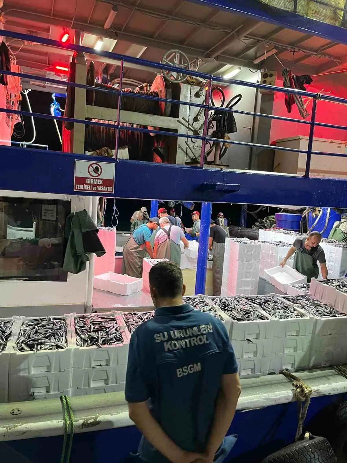 Didim denizlerinde hamsi mesaisi: Ekipler av limitleri için sahaya indi