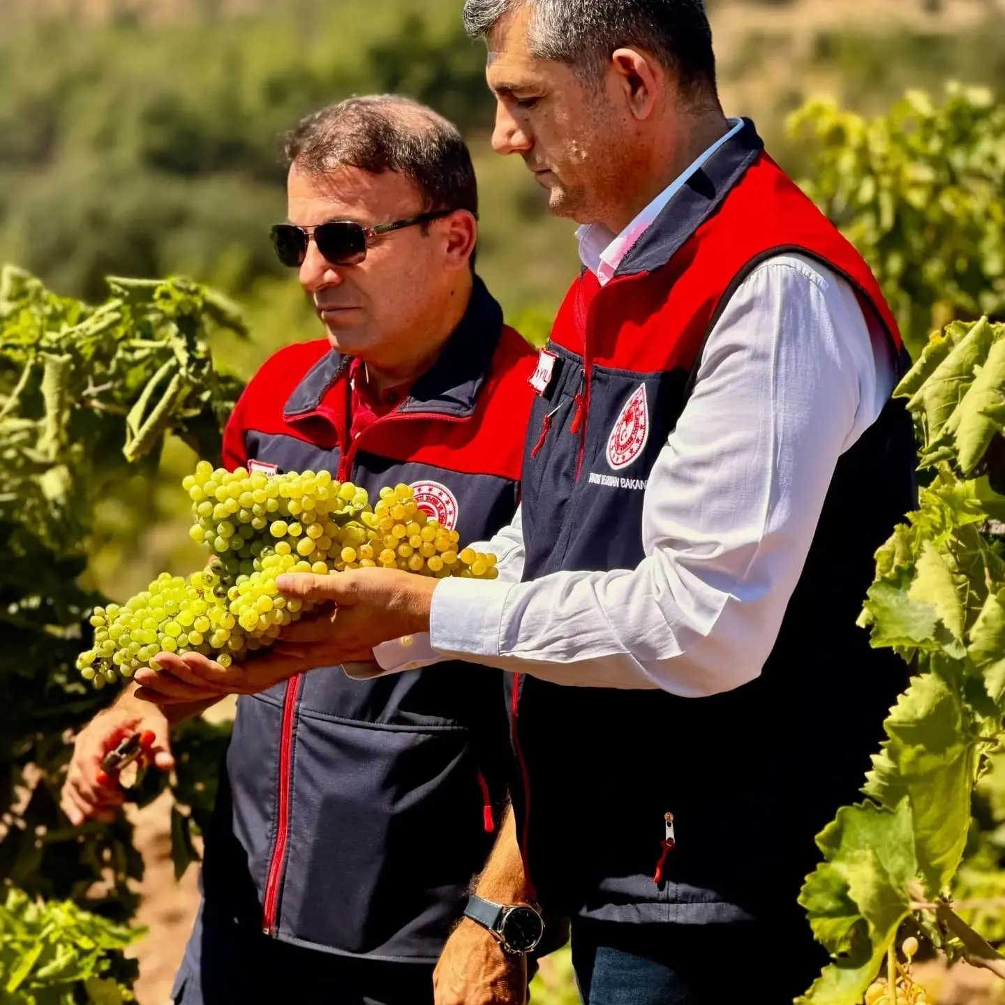 Bekilli’de tarım seferberliği: Üreticinin sesi sahada yankılandı