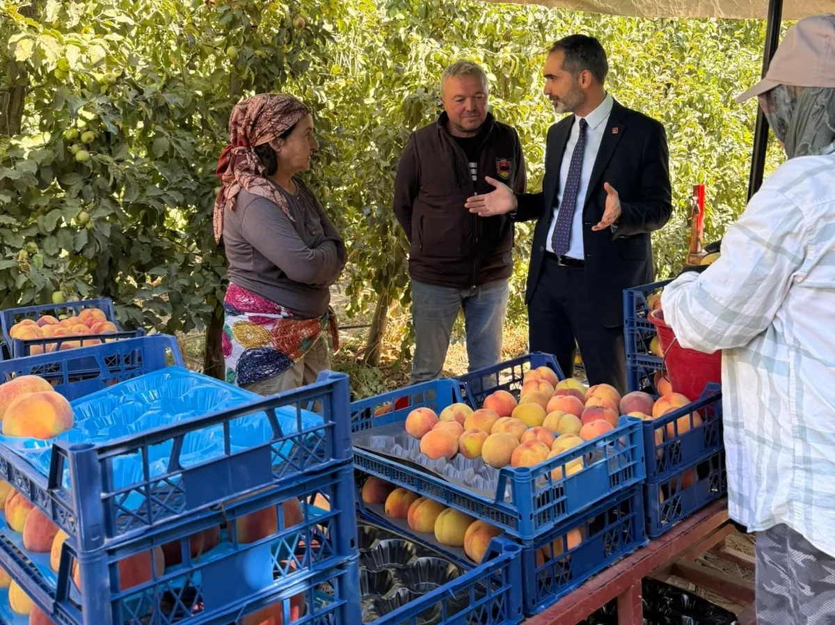 Çivril’de şeftali üreticisinin isyanı: Bahçe sahibi olmak işçiden daha zor
