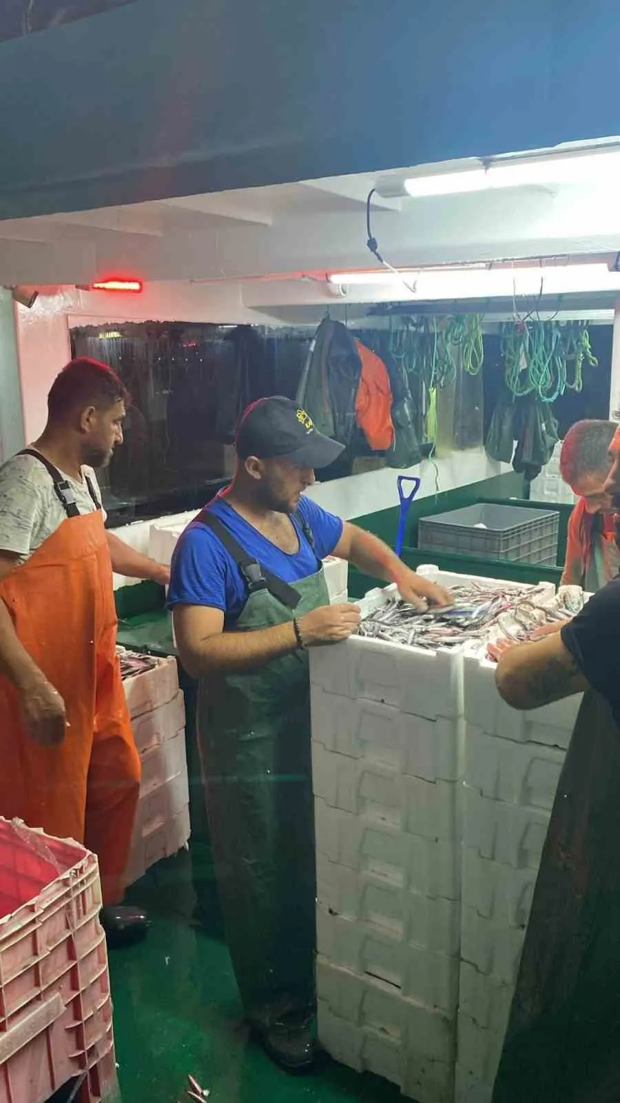 Didim’de Gırgır Teknelerinde Kılı Kırk Yaran Denetim: Balıklar Boy Boy Ölçüldü