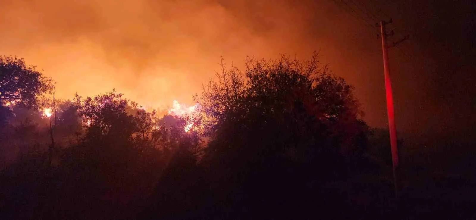 Aliağa'da geceyi aydınlatan alevlerle mücadele: 4 saatlik savaş zaferle sonuçlandı