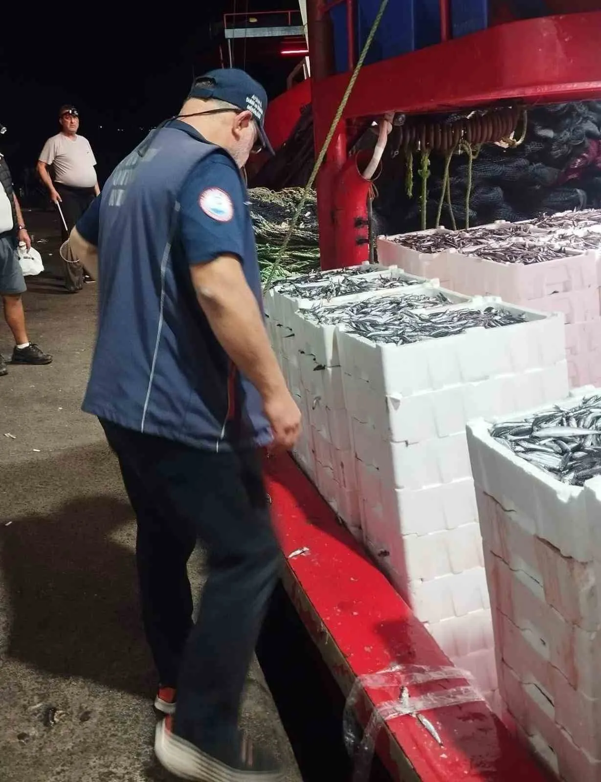 Didim denizlerinde hamsi mesaisi: Ekiplerden boy ve kota denetimi