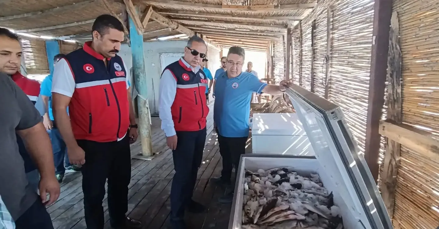 Söke'nin bereketli sularında mesai: Balıkçıların sorunları masaya yatırıldı