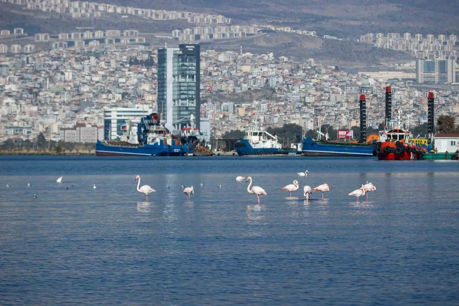İzmir’in iklim vizyonu Avrupa’ya model olacak: Büyükşehir dev projeye imza attı