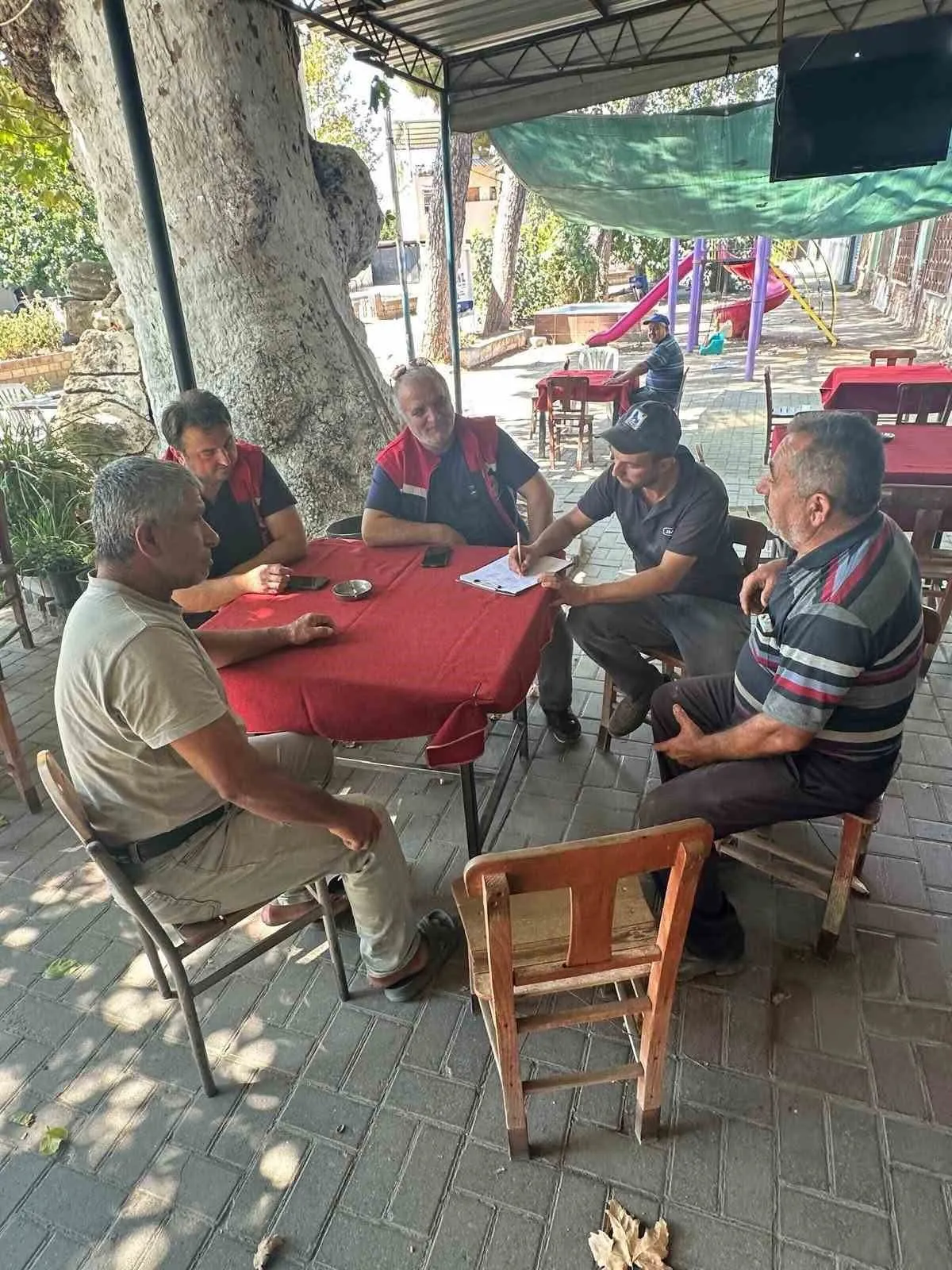 Aydın’ın dört bir yanında tarım seferberliği: Üreticinin sesi sahada yankılandı
