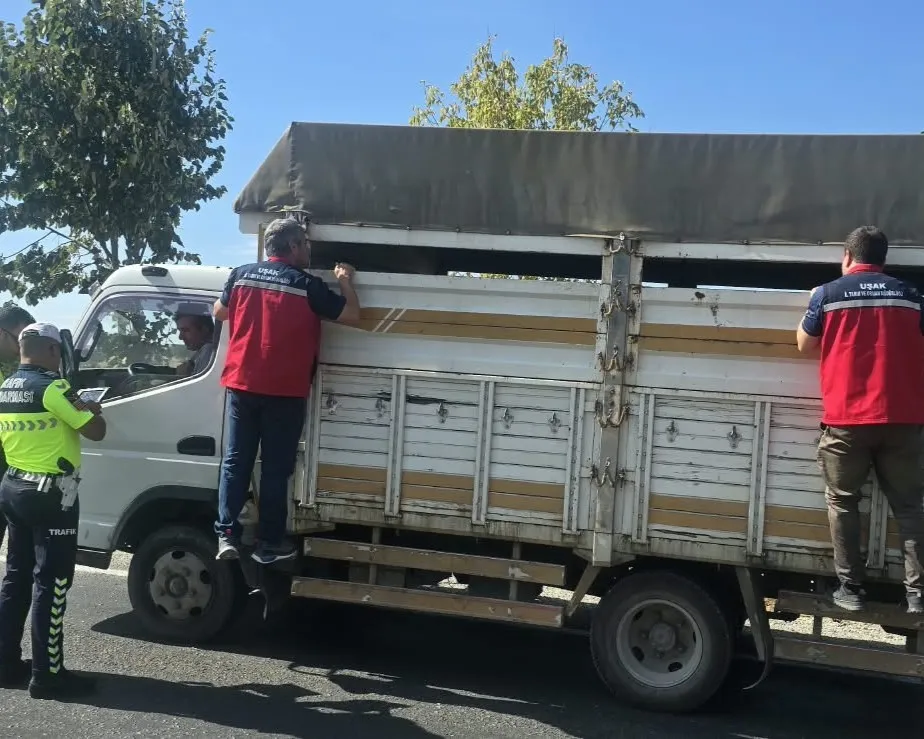 Uşak’ta hayvancılıkta alarm: Hastalıklara karşı yollarda sıkı denetim