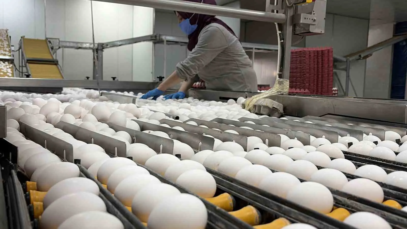 Mutfakların temel gıdası için müjdeli haber: Yumurta fiyatlarında zam beklenmiyor