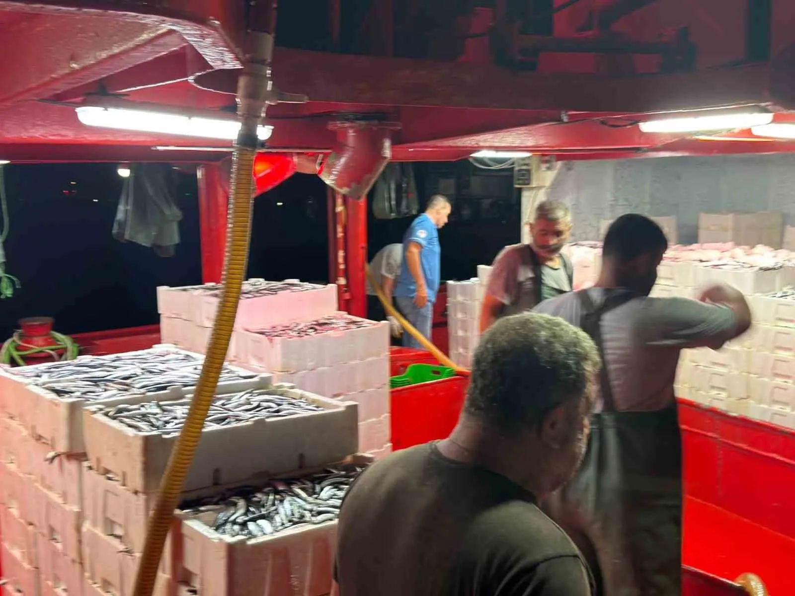 Denizlerin geleceği için Didim’de sıkı takip: Hamside kota nöbeti başladı