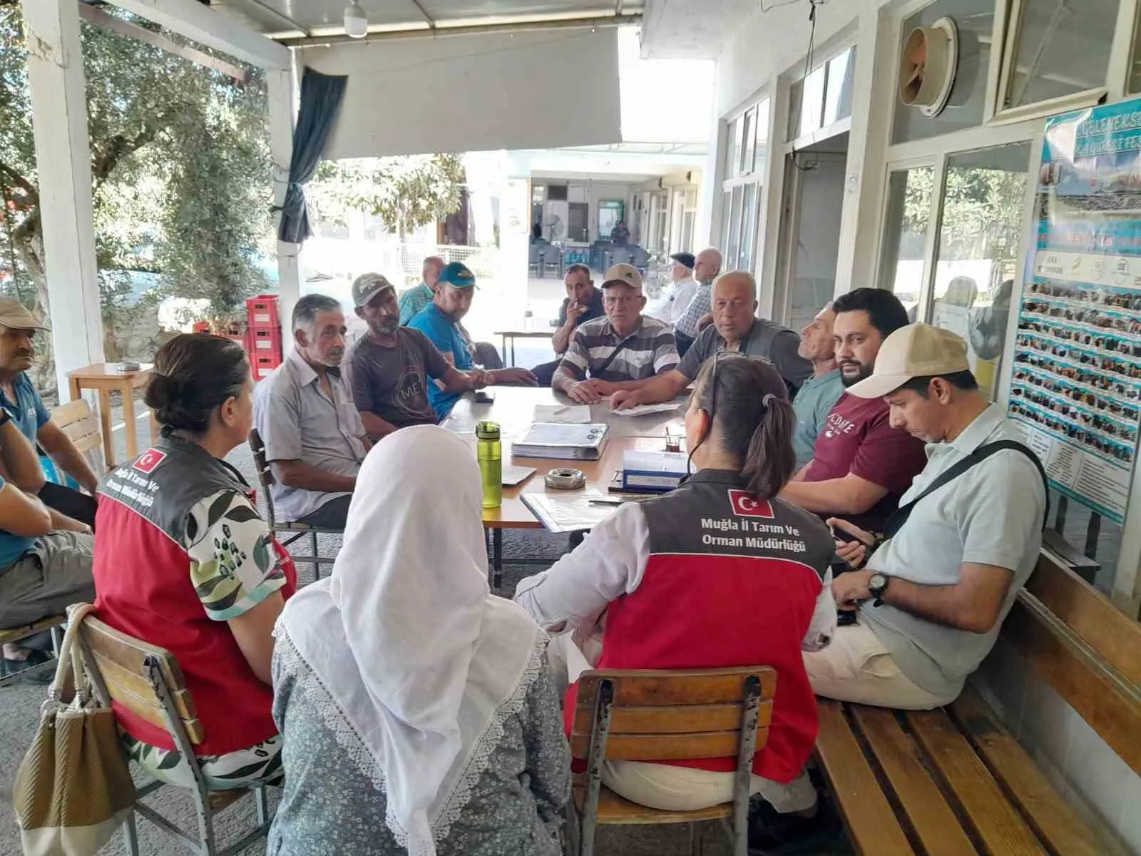 Muğla’da organik tarım hamlesi: Susam tarlalarında denetim mesaisi