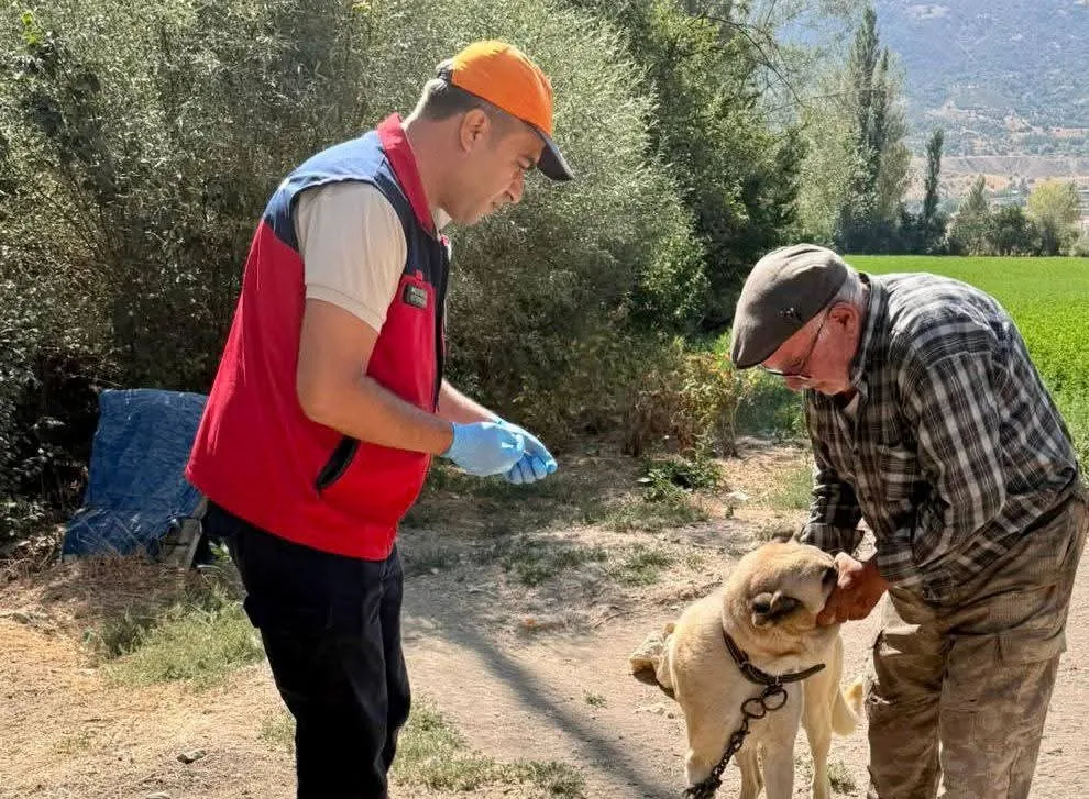 Afyonkarahisar’da sevimli dostlara koruma kalkanı: Kuduz riski için harekete geçildi