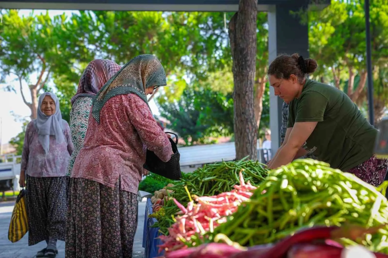 Hacıömerli'de toprağın bereketi tezgahlara taşındı: Doğal ürünlerin yeni adresi