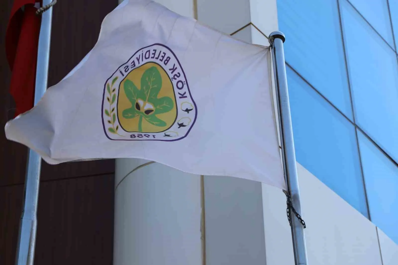 Köşk’te sokak hayvanları krizi: Belediye iddiaları belgelerle çürüttü