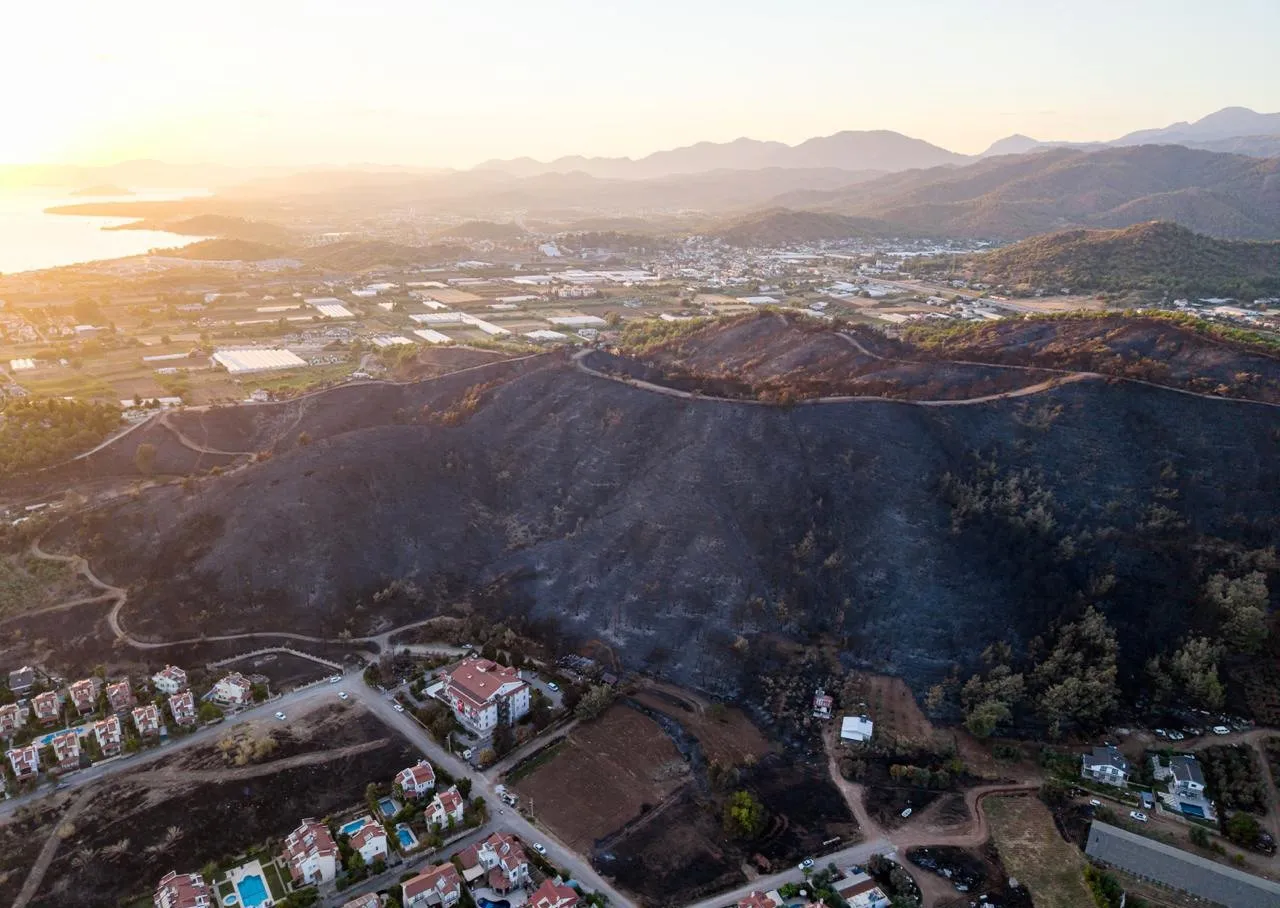 Fethiye’de alevlerin bıraktığı kara tablo: Doğanın kalbi küle döndü
