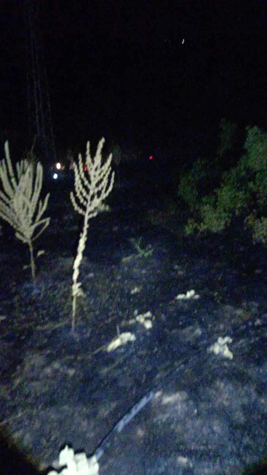 Manisa'da korkutan doğa olayı: Yıldırım trafo merkezini ateşe verdi