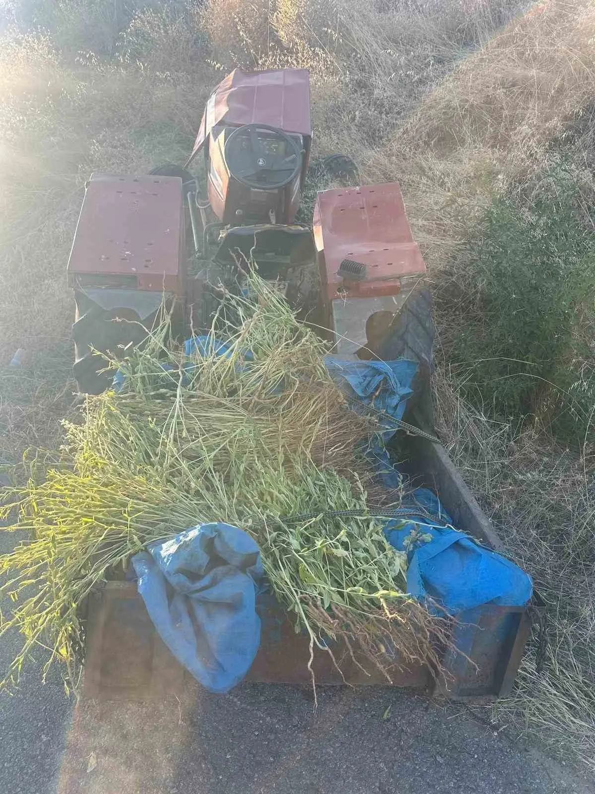 Manisa'da tarım faciası: Traktörün altında kalan çiftçi kurtarılamadı
