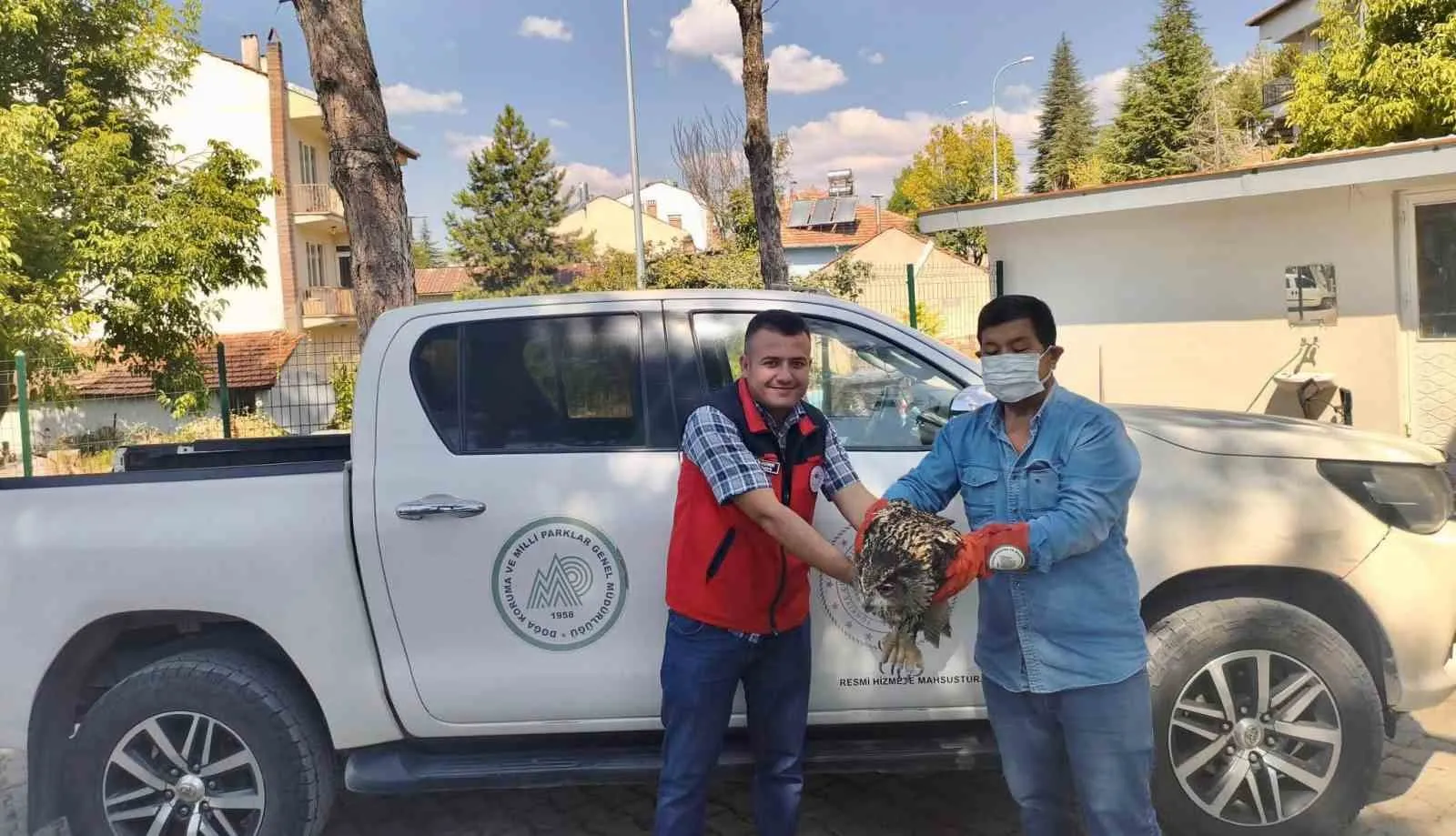Sandıklı’da Yaralı Bulunan Puhu Kuşu Ekiplerin Elinde Yeniden Hayata Tutundu